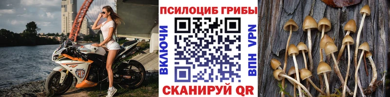Псилоцибиновые грибы Cubensis  Дятьково 
